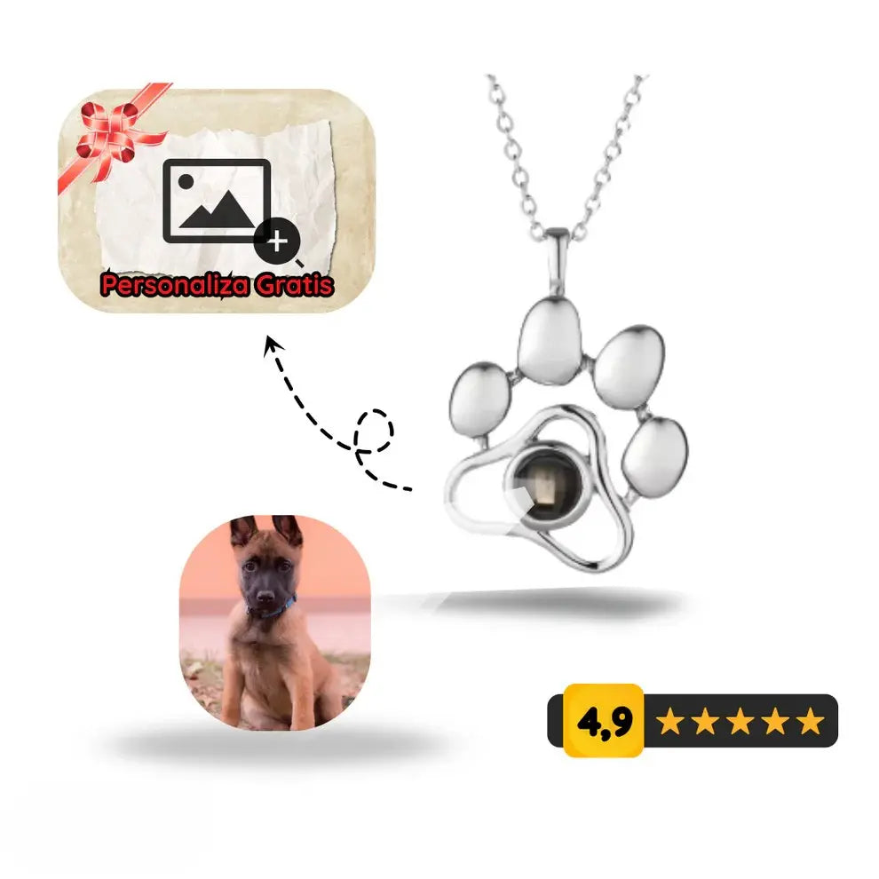 Collar Personalizado "mascotas"