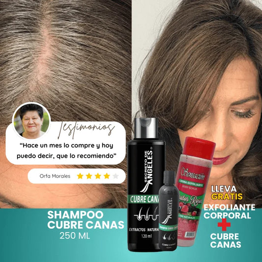 Shampoo Cubre Canas Secreto de Ángeles con Colágeno y Exfoliante GRATIS