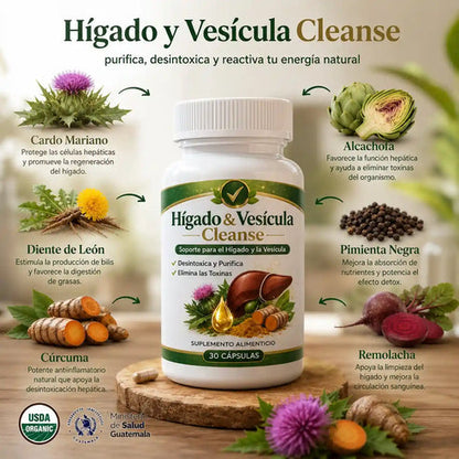 HIGADO Y VESICULA
