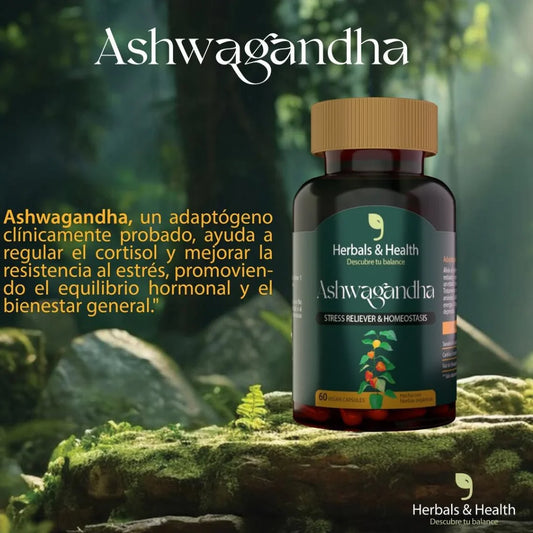 Ashwagandha Pura – Tu Aliado Natural contra el Estrés y la Ansiedad